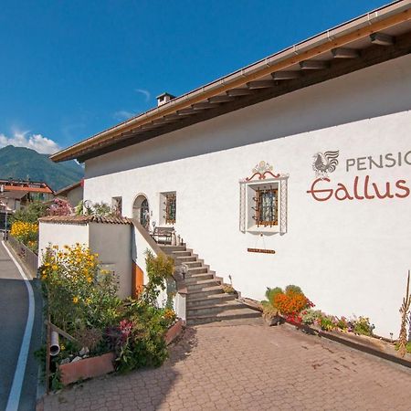 Pension Gallus 拉塞斯 外观 照片